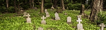 Bethlehem PA Graveyard