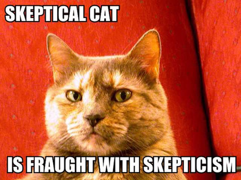 skeptical-cat-is-fraught-with-skepticism_w800.jpg
